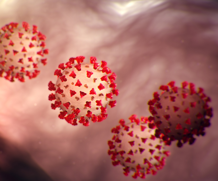 Virus Corona xâm chiếm phổi như thế nào?