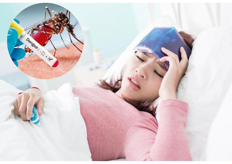 Bệnh Sốt Xuất Huyết: Từ Định Nghĩa, Triệu Chứng Đến Cách Chăm Sóc