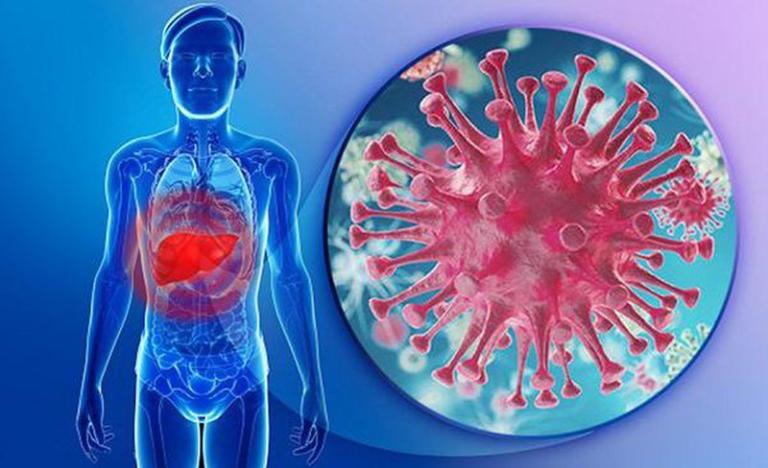 HCV Ab Test Nhanh Là Gì: Định Nghĩa, Nguyên Lý & Ý Nghĩa Kết Quả Chi Tiết