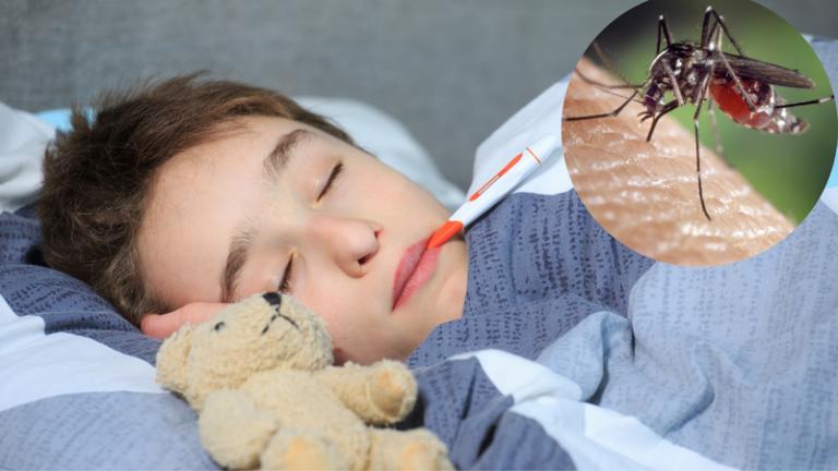 Sốt Rét: Nguyên Nhân, Triệu Chứng, Chẩn Đoán và Điều Trị Toàn Diện