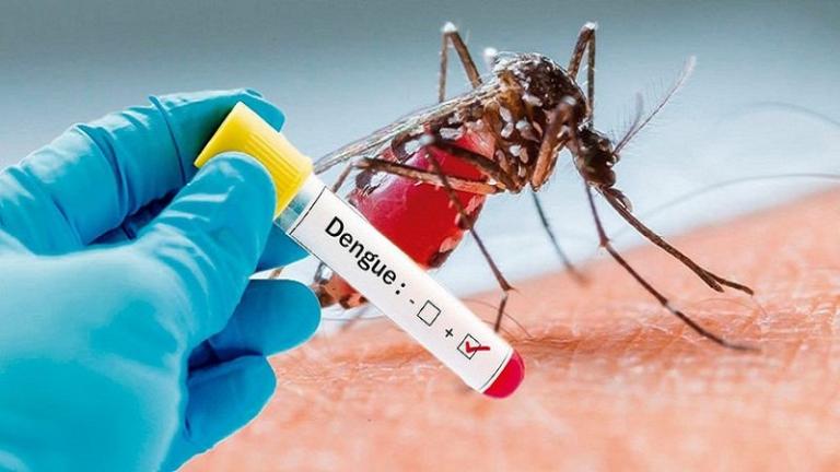 Xét Nghiệm Dengue NS1 Antigen Test Nhanh: Hướng Dẫn Chẩn Đoán Sớm Sốt Xuất Huyết